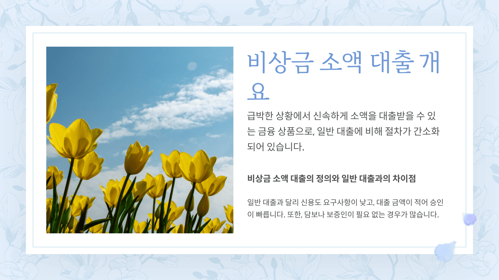 비상금 소액대출 개요